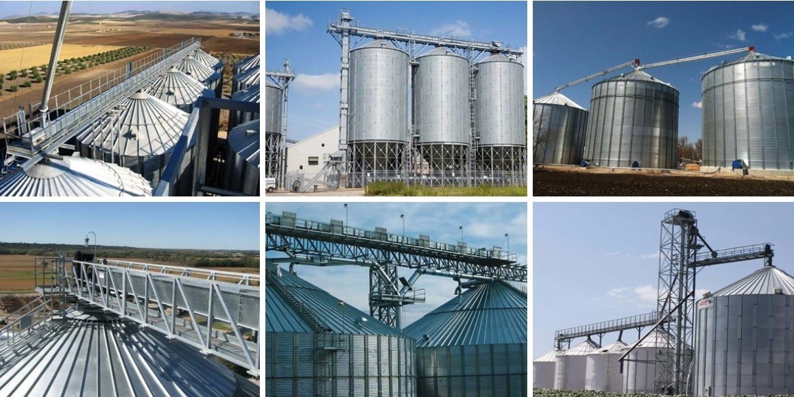 สายพานลำเลียงธัญพืช