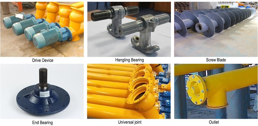 รายละเอียดพี