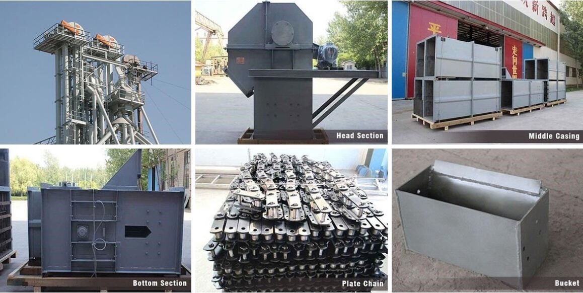 ห่วงโซ่จาน